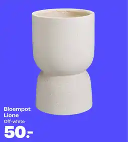 Kwantum Bloempot Lione aanbieding