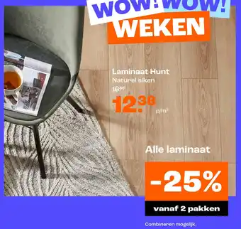 Kwantum Laminaat Hunt aanbieding
