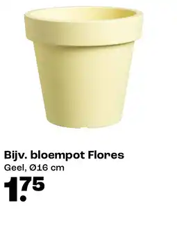 Kwantum Bloempot flores aanbieding