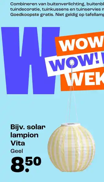 Kwantum Solar lampion vita aanbieding