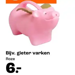Kwantum Gieter varken aanbieding