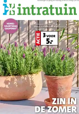 Intratuin Kuiflavendel (Lavandula st. 'Viva) aanbieding