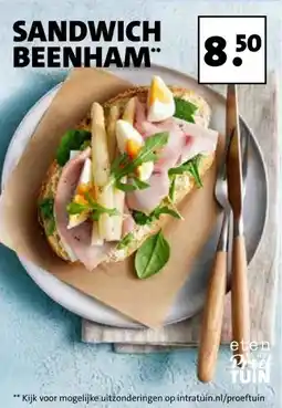Intratuin SANDWICH BEENHAM aanbieding