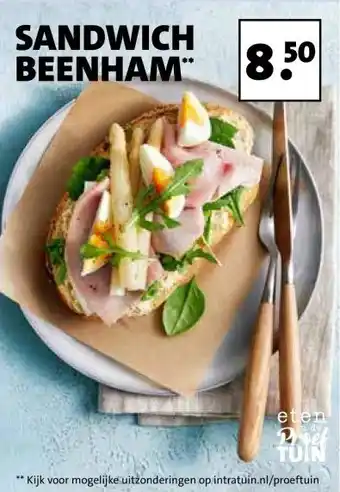 Intratuin SANDWICH BEENHAM aanbieding