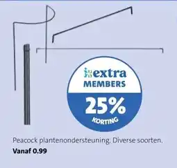 Intratuin Peacock plantenondersteuning. Diverse soorten. aanbieding