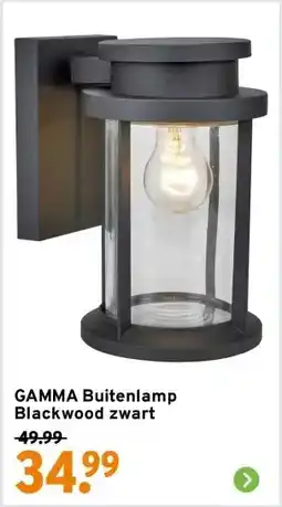 GAMMA GAMMA Buitenlamp Blackwood zwart aanbieding