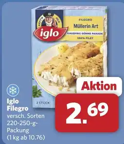 Combi Iglo Filegro aanbieding