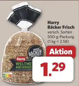 Combi Harry Bäcker Frisch aanbieding
