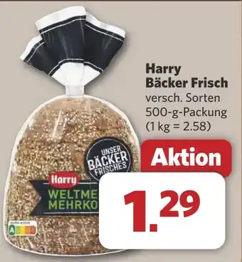 Combi Harry Bäcker Frisch aanbieding