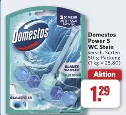 Combi Domestos Power 5 WC Stein aanbieding