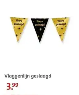 Bruna Vlaggenlijn geslaagd aanbieding