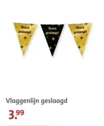 Bruna Vlaggenlijn geslaagd aanbieding