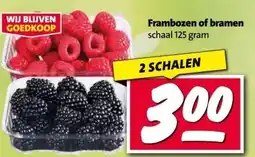 Nettorama Frambozen of bramen aanbieding