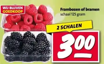 Nettorama Frambozen of bramen aanbieding