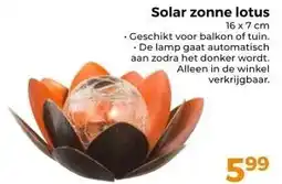 Trekpleister Solar zonne lotus aanbieding