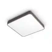 Praxis Philips plafondlamp bruin 32W aanbieding