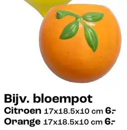 Kwantum Bloempot aanbieding