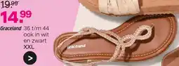 vanHaren Graceland XXL aanbieding