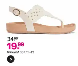 vanHaren Graceland aanbieding