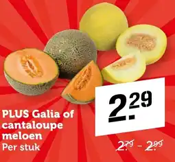 CoopCompact Plus galia of cantaloupe meloen aanbieding