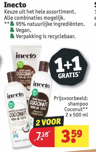 Kruidvat Inecto shampoo aanbieding