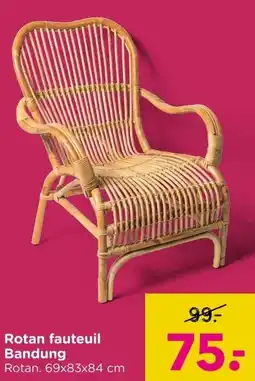 Xenos Rotan fauteuil Bandung aanbieding