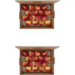Albert Heijn AH Fruitbox appels 2-pack aanbieding