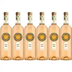 Albert Heijn Midi par Mas Vin orange organic wine 6 flessen aanbieding