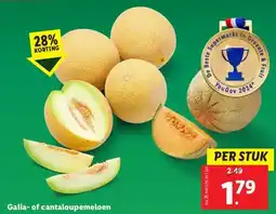 Lidl Galia- of cantaloupemeloen aanbieding