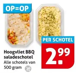 Hoogvliet Hoogvliet BBQ saladeschotel aanbieding