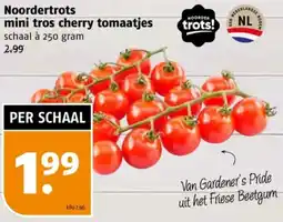 Poiesz Noordertrots mini tros cherry tomaatjes aanbieding