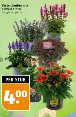 Poiesz Vaste planten mix aanbieding