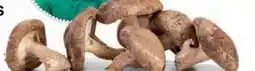 Ekoplaza KASTANJE CHAMPIGNONS aanbieding