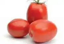 Ekoplaza ROMA TOMATEN aanbieding