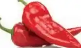 Ekoplaza PUNT- PAPRIKA aanbieding
