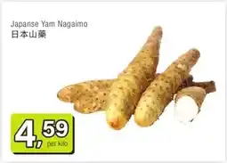 Amazing Oriëntal Japanse Yam Nagaimo日本山藥 aanbieding