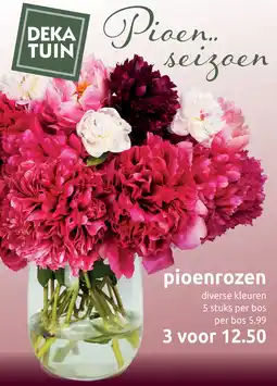 Deka Tuin Pioenrozen aanbieding