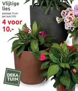 Deka Tuin Vlijtige lies aanbieding