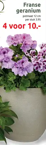 Deka Tuin Franse geranium aanbieding