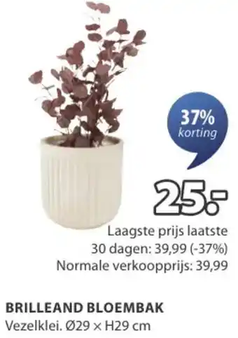 Jysk Brilleand bloembak aanbieding