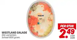 Dekamarkt Westland salade aanbieding