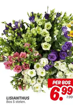 Dekamarkt Lisianthus aanbieding