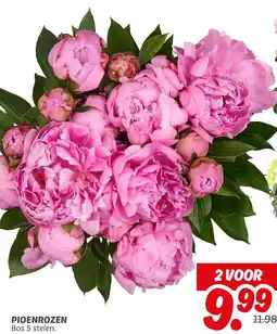 Dekamarkt Pioenrozen aanbieding