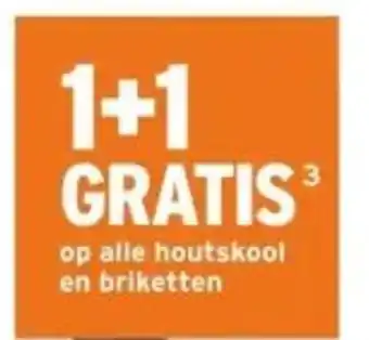 GAMMA Alle houtskool en briketten aanbieding