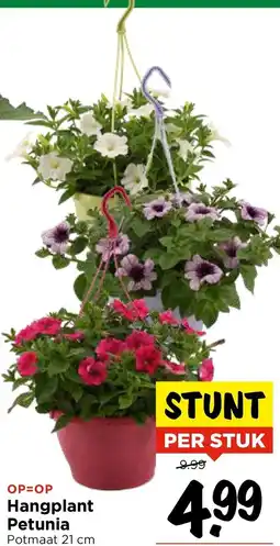 Vomar Voordeelmarkt Hangplant Petunia aanbieding