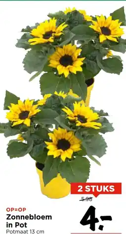 Vomar Voordeelmarkt Zonnebloem in Pot aanbieding