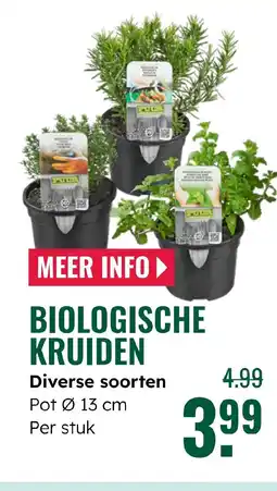 GroenRijk Biologische kruiden aanbieding