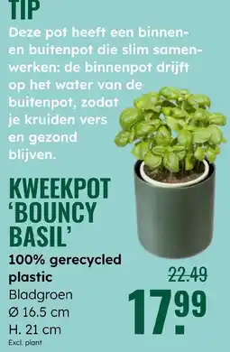 GroenRijk KWEEKPOT 'BOUNCY BASIL' aanbieding
