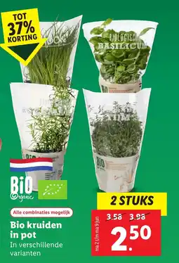 Lidl Bio kruiden in pot aanbieding