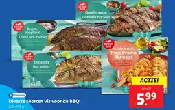 Lidl Diverse soorten vis voor de BBQ aanbieding